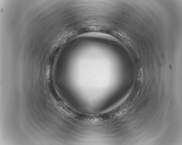 X0000087680646200705251645