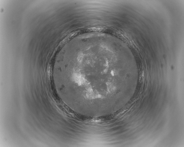 X0000087680647200705251645