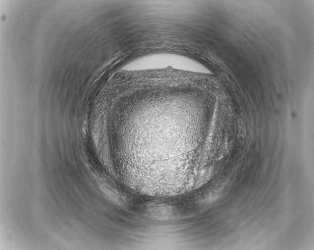 X0000087680648200705251645