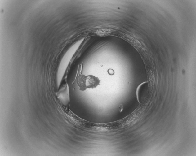 X0000087680649200705251645