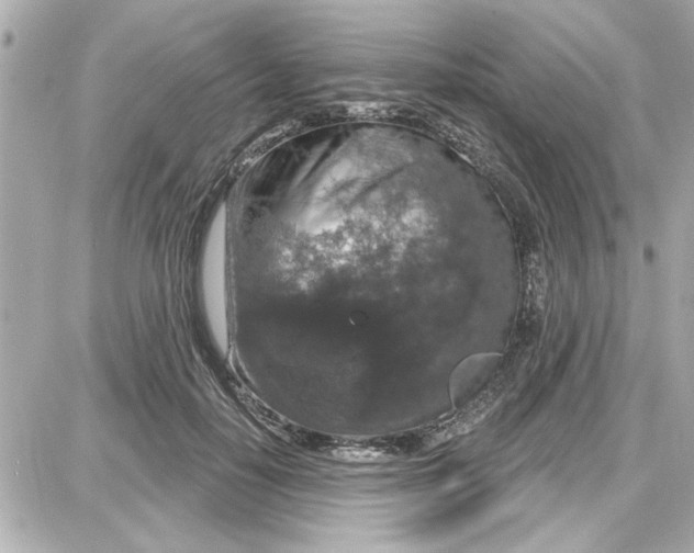 X0000087680650200705251645