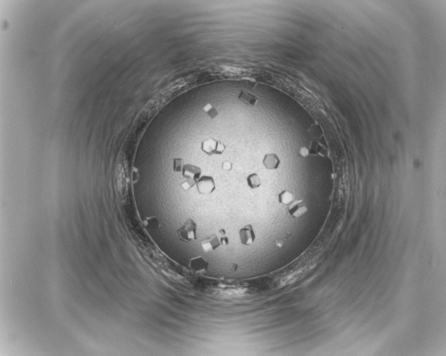 X0000087680651200705251645