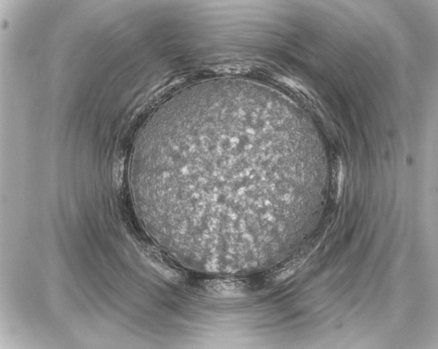 X0000087680652200705251645