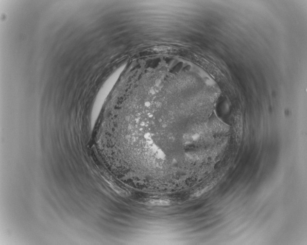 X0000087680653200705251645