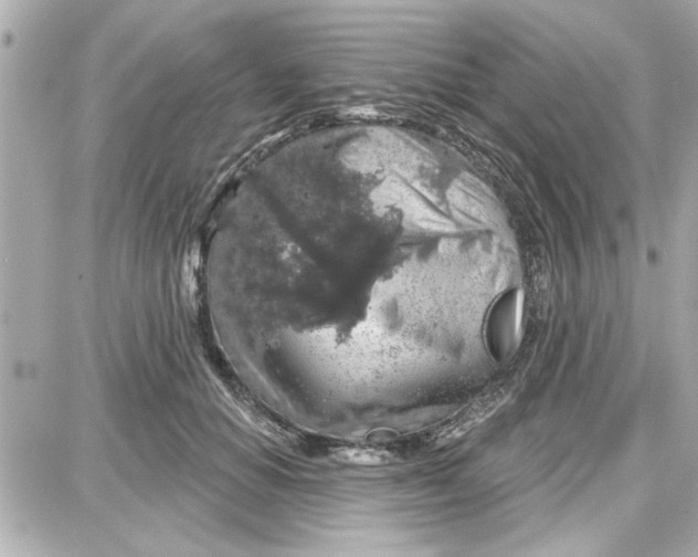 X0000087680654200705251645