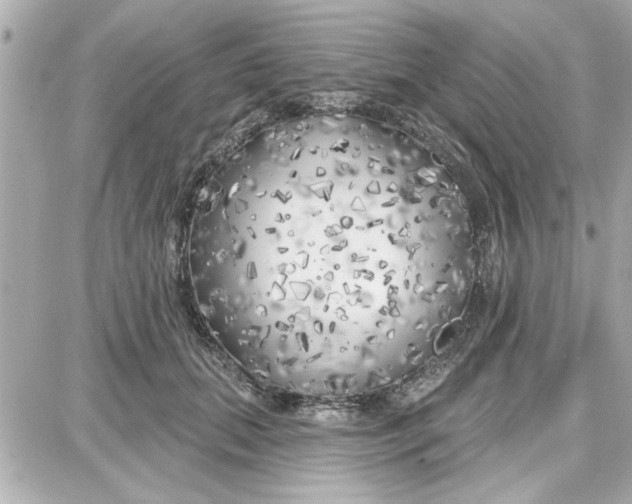 X0000087680655200705251645