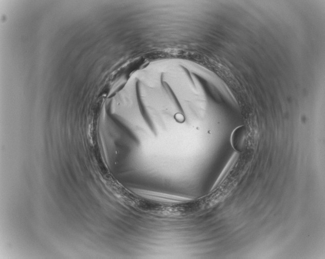 X0000087680656200705251645