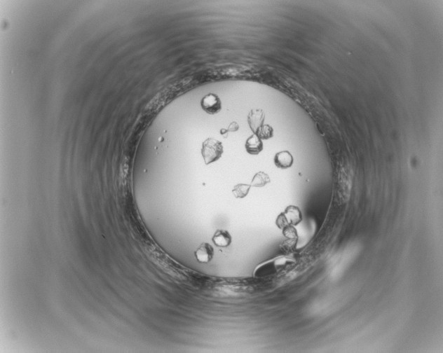 X0000087680657200705251645