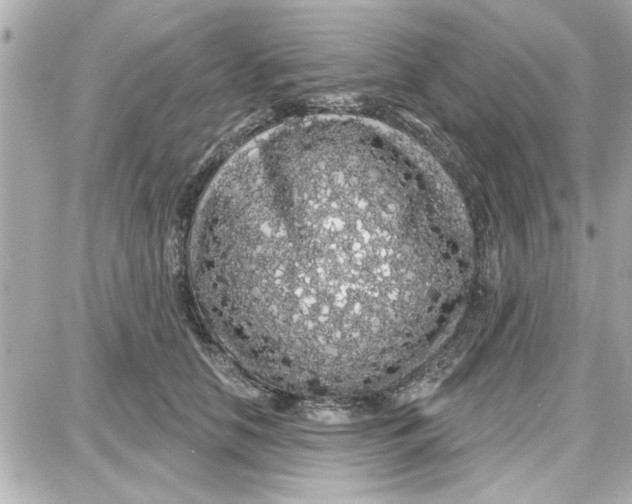 X0000087680658200705251645