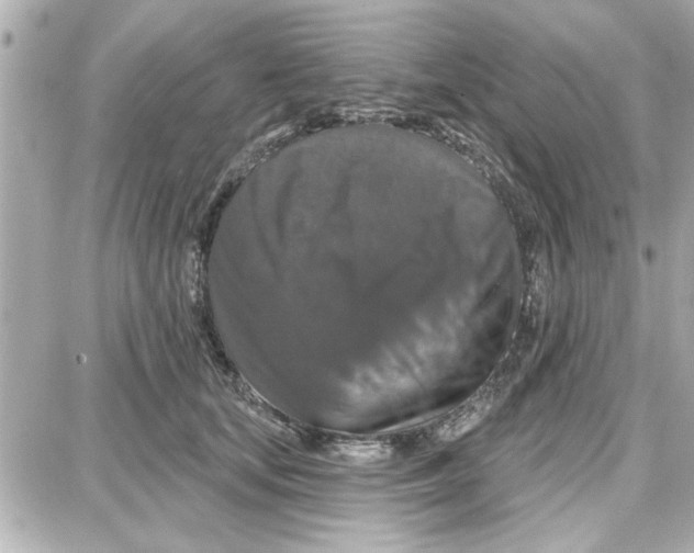 X0000087680659200705251645