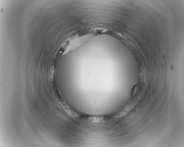 X0000087680660200705251645