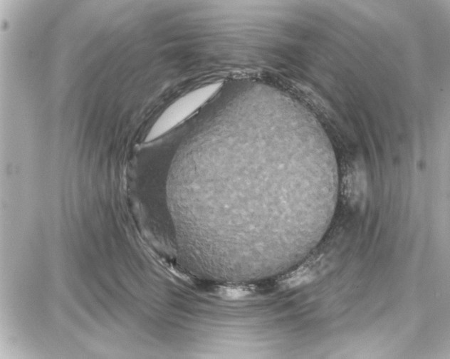 X0000087680662200705251645