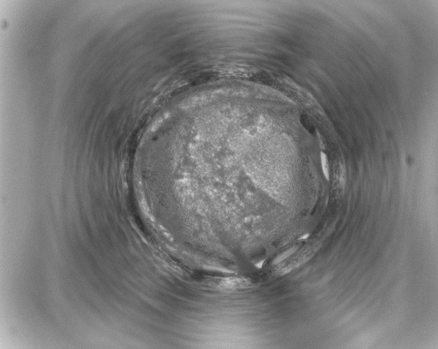 X0000087680663200705251645