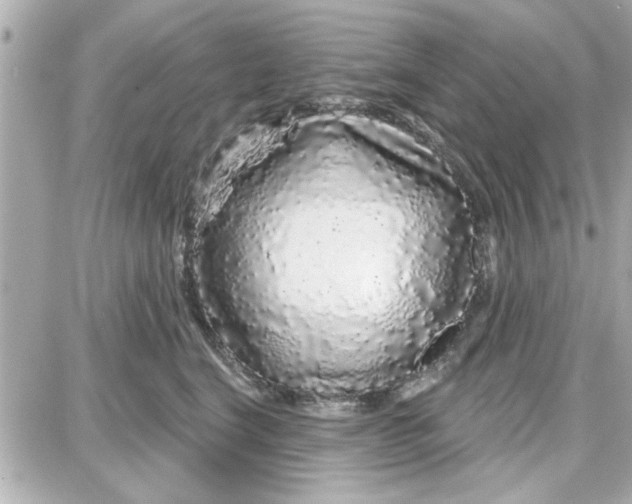 X0000087680664200705251645