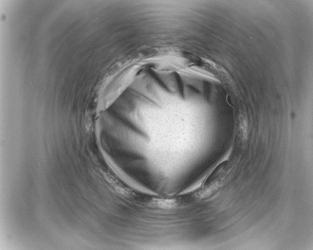 X0000087680665200705251645