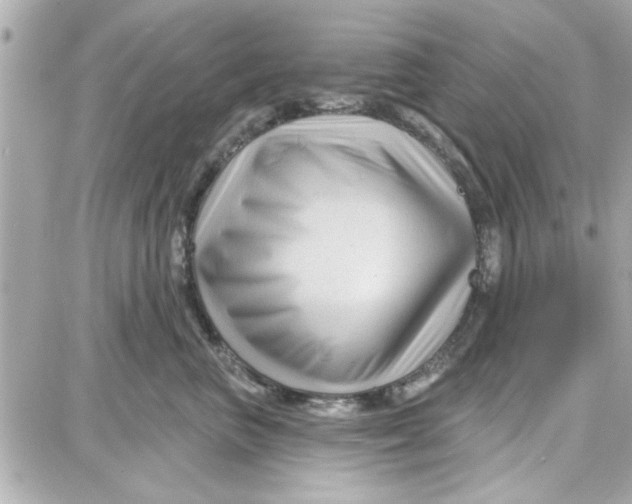 X0000087680667200705251645