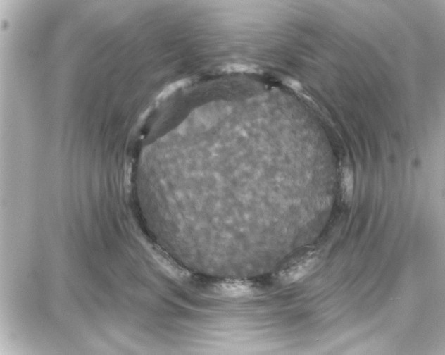 X0000087680668200705251645