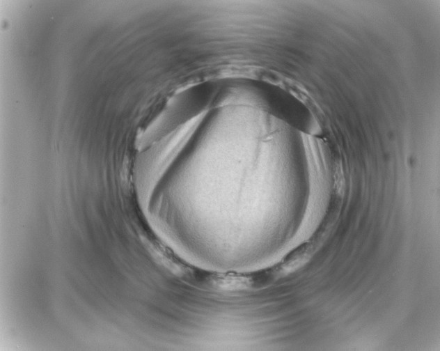 X0000087680670200705251645