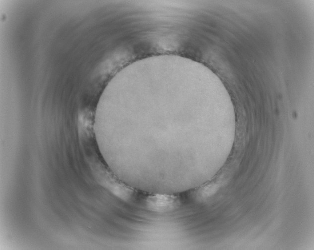 X0000087680672200705251645