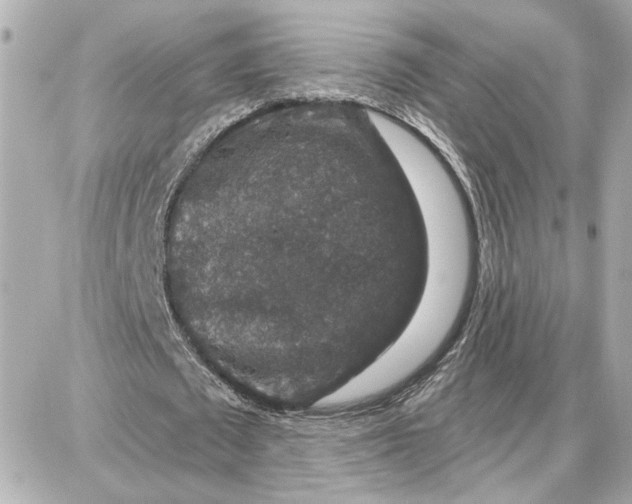 X0000087680673200705251644