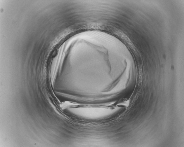 X0000087680674200705251644