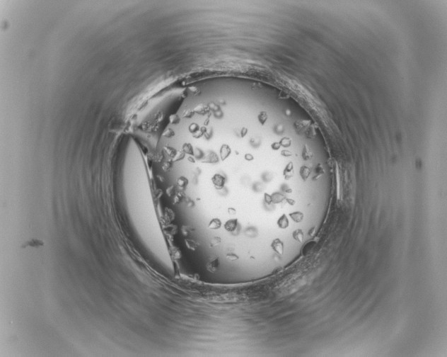 X0000087680675200705251644