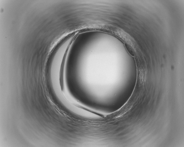 X0000087680676200705251644