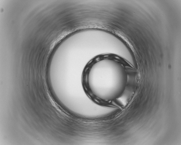 X0000087680677200705251644