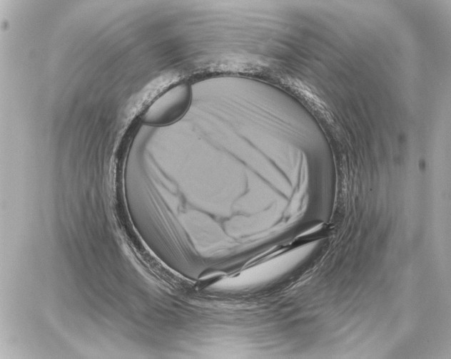 X0000087680678200705251644