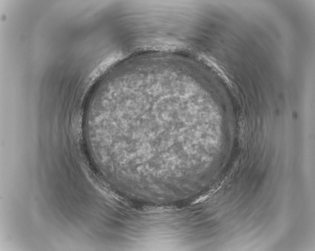 X0000087680679200705251644