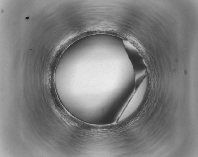 X0000087680680200705251644