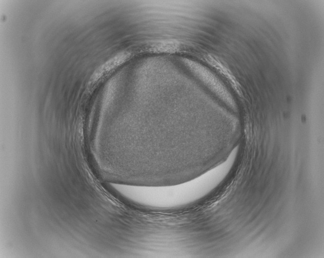 X0000087680681200705251644