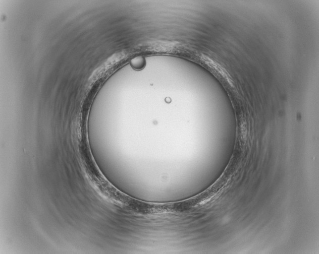 X0000087680682200705251644