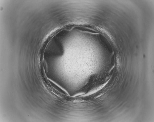 X0000087680684200705251644