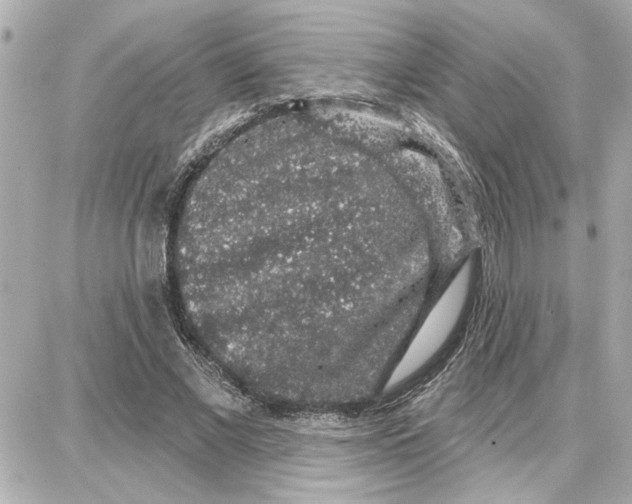 X0000087680685200705251644