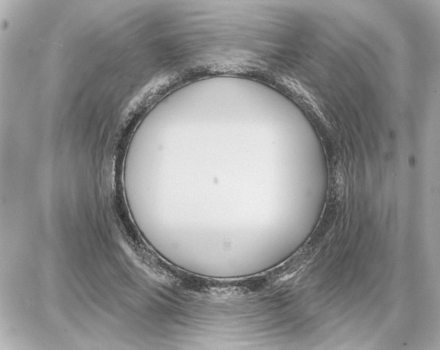 X0000087680686200705251644