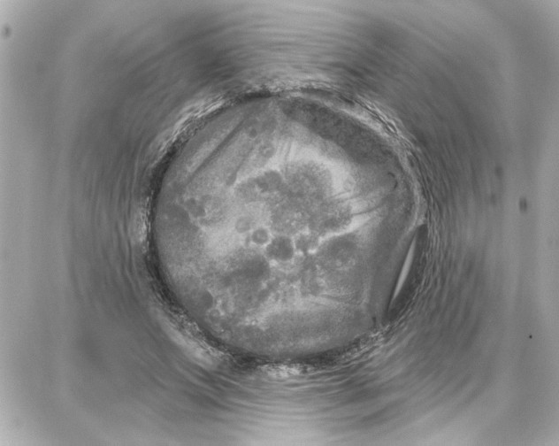 X0000087680687200705251644