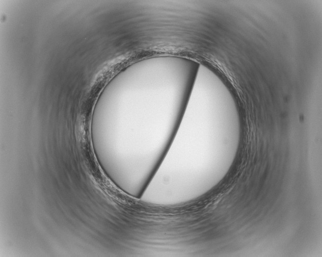 X0000087680688200705251644