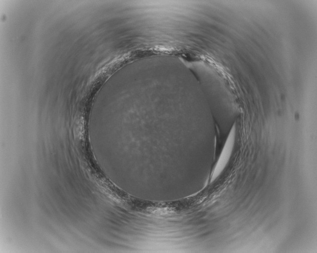 X0000087680689200705251644