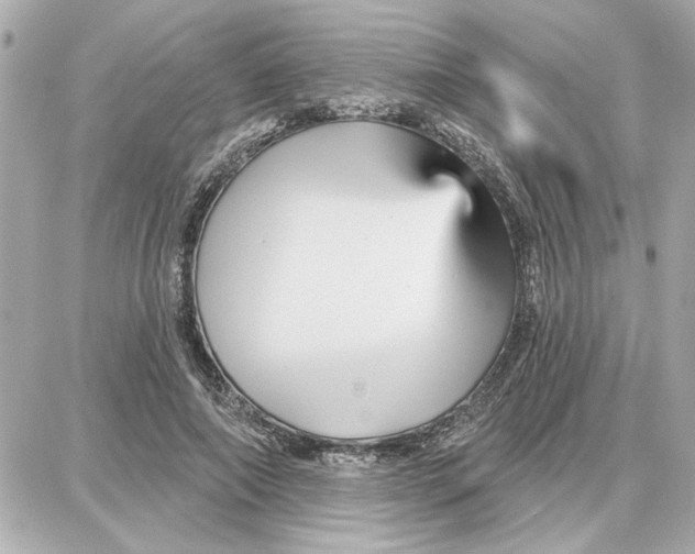 X0000087680690200705251644