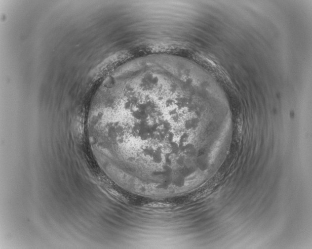 X0000087680691200705251644