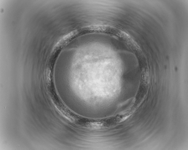 X0000087680692200705251644