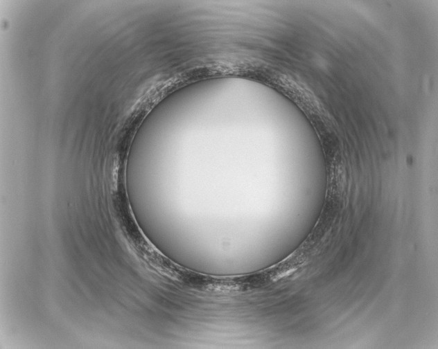 X0000087680694200705251644