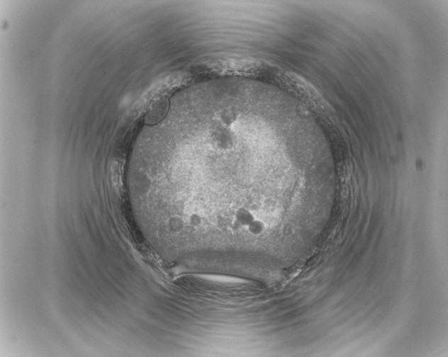 X0000087680695200705251644