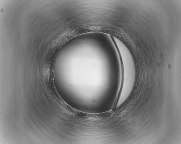 X0000087680697200705251644