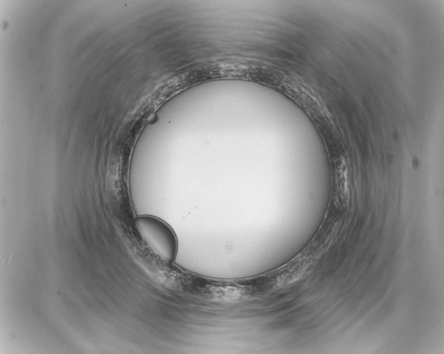 X0000087680698200705251644