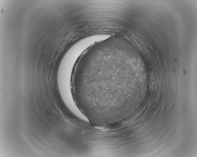 X0000087680699200705251644