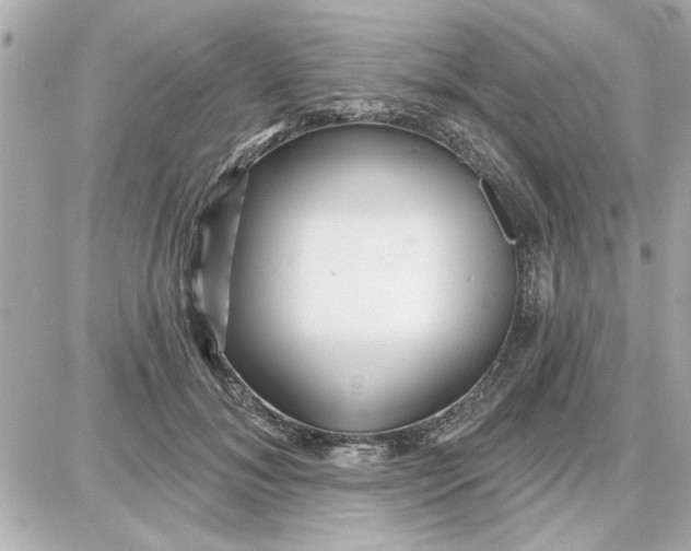 X0000087680700200705251644