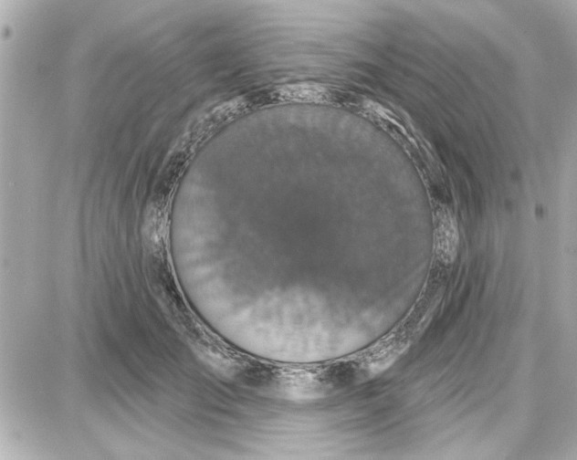 X0000087680701200705251644