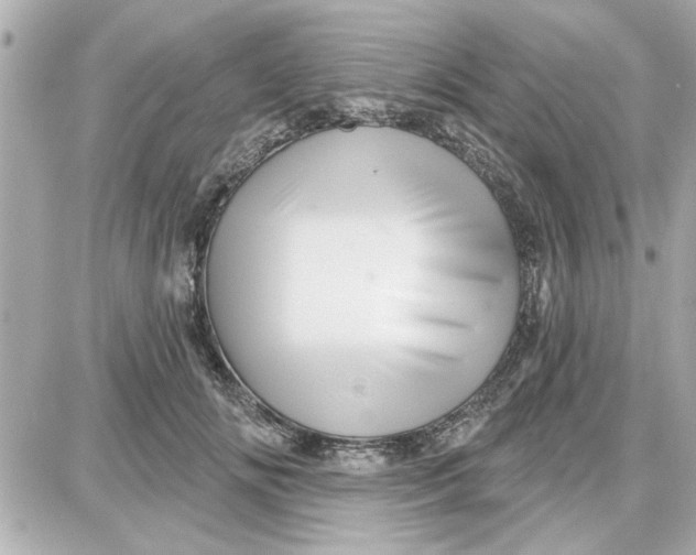 X0000087680702200705251644